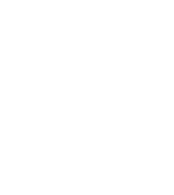 Drive'n go primary logo blanc